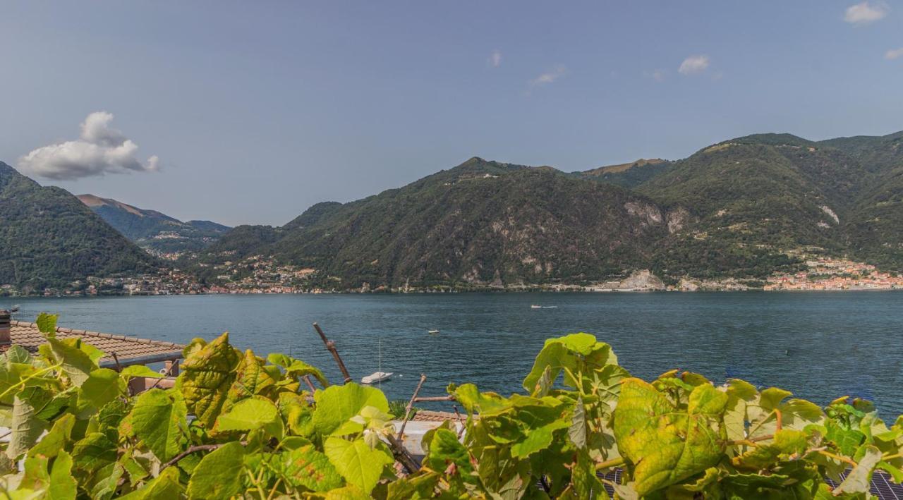 Ninfea Apartments By Wonderful Italy เลซเซโน ภายนอก รูปภาพ